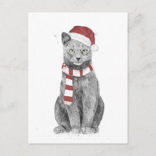 Cartão Postal gato Natal