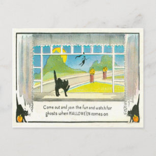 Cartão Postal Gato Negra Janela Bruxa Jack O Lanterna Pumpkin Lu