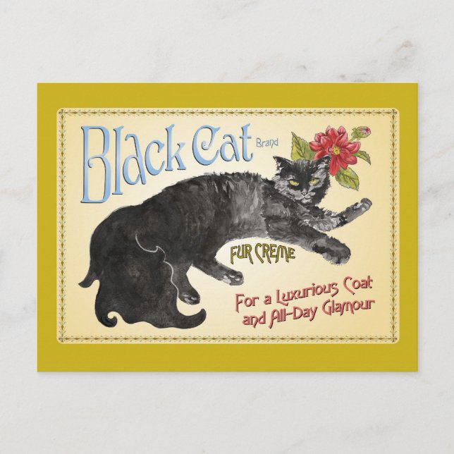 Cartão Postal Gato Negro (Frente)