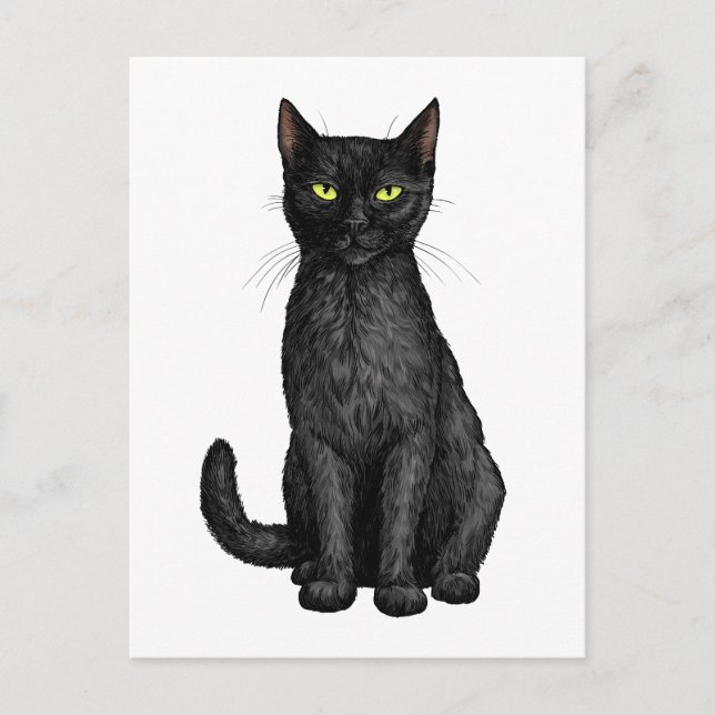 Cartão Postal Gato negro (Frente)