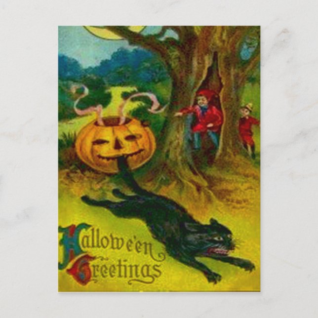 Cartão Postal Gato Negro (Frente)