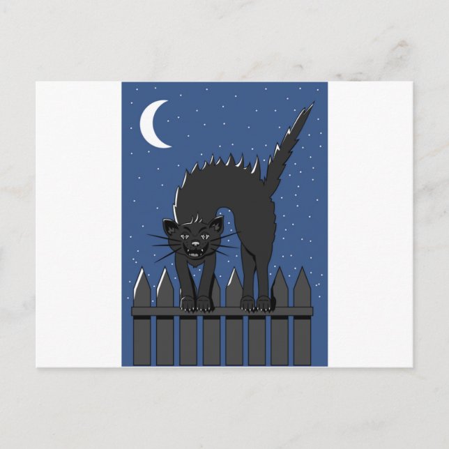 Cartão Postal Gato Negro (Frente)