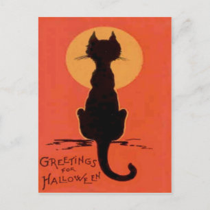 Cartão Postal Gato Negro Amarelo Amarelo