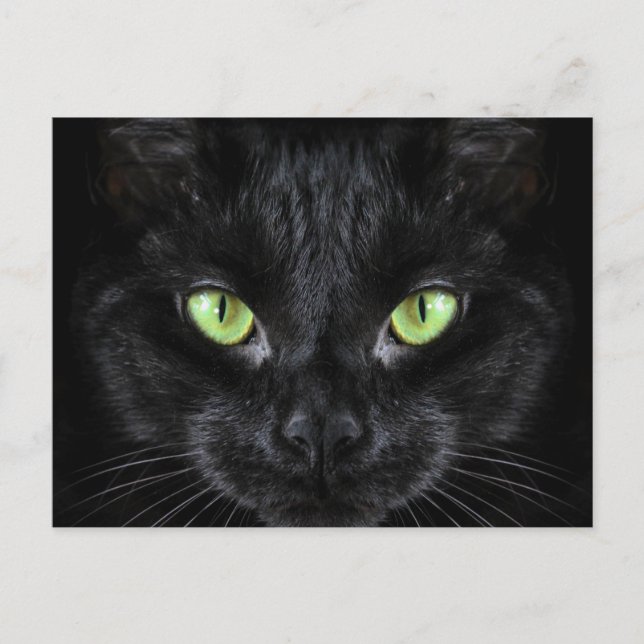 Cartão Postal Gato Negro com Olhos Verdes (Frente)