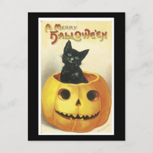 Cartão Postal Gato Negro e Abóbora do Halloween
