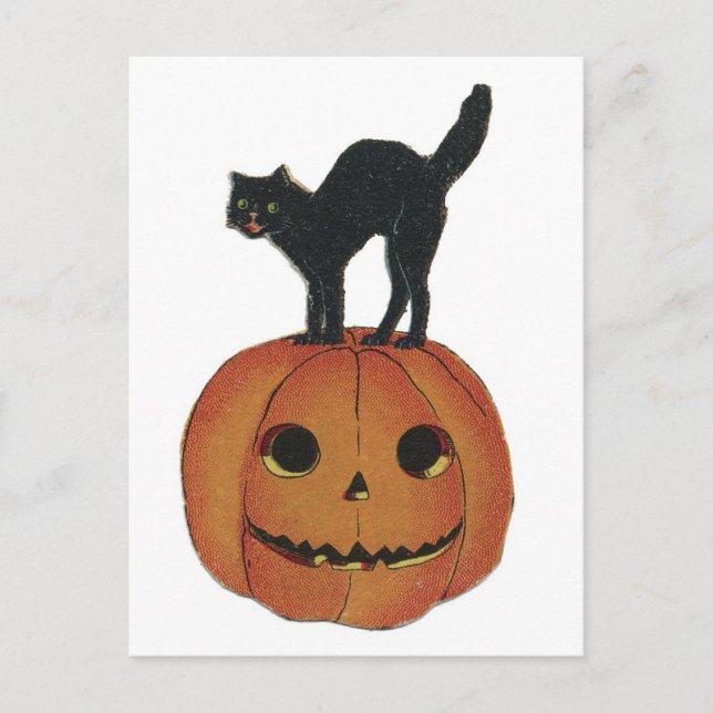 Cartão Postal Gato Negro e Jack-O-Lanterna do Halloween (Frente)