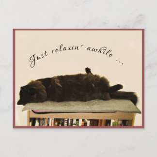 Cartão Postal Gato Negro em Férias