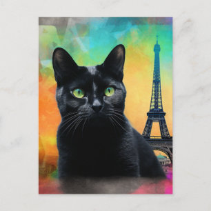 Cartão Postal Gato Negro em Paris