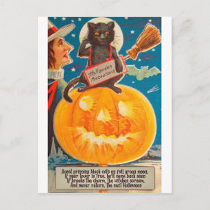 Cartão Postal Gato Negro está sentado no Big Bright Pumpkin, Eng