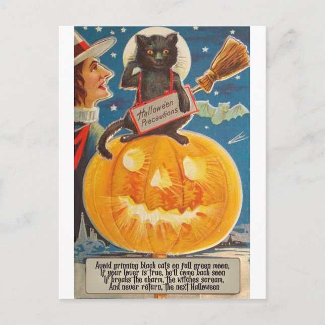 Cartão Postal Gato Negro está sentado no Big Bright Pumpkin, eng (Frente)