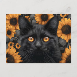 Cartão Postal Gato Negro no Campo de Girassol