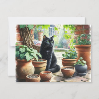 Cartão Postal Gato Negro Vendo Gato-de-Apanho