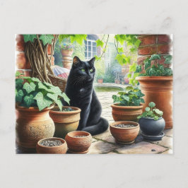 Cartão Postal Gato Negro Vendo Gato-de-Apanho