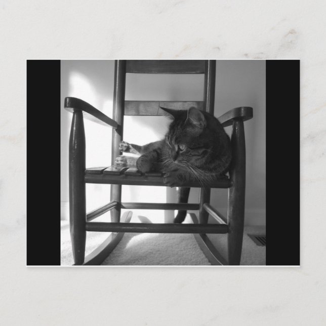 Cartão Postal Gato no foguete (Frente)