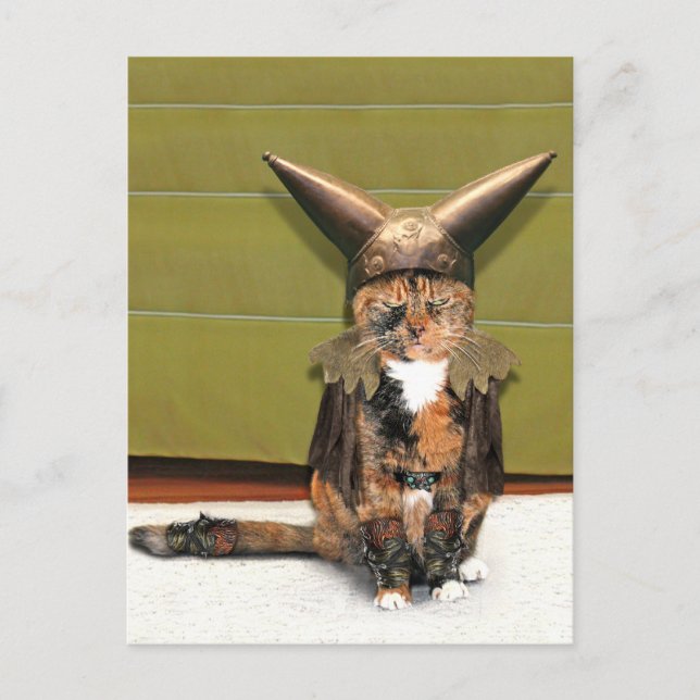 Cartão Postal Gato Nórdico Não é Amusado (Frente)