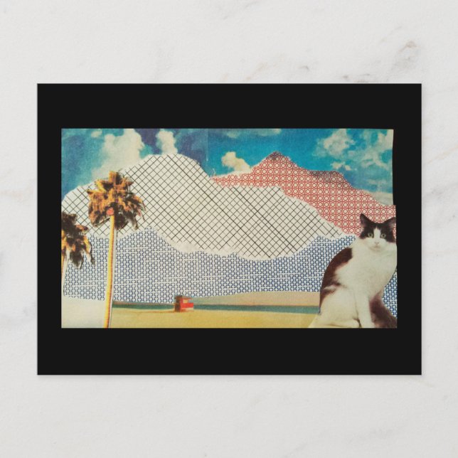 Cartão Postal Gato numa paisagem estranha (Frente)