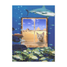 Gato Observando Peixes Sob O Mar