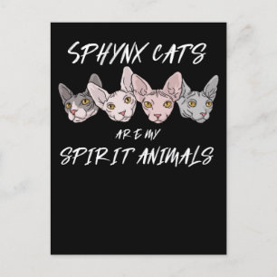 Cartão Postal Gato-Pão-Gato-Espírito-Espírito Animal Sphynx Cat
