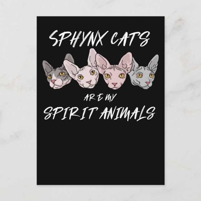 Cartão Postal Gato-Pão-Gato-Espírito-Espírito Animal Sphynx Cat (Frente)