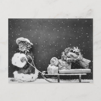 Cartão Postal Gato papai noel, gato Papai Noel