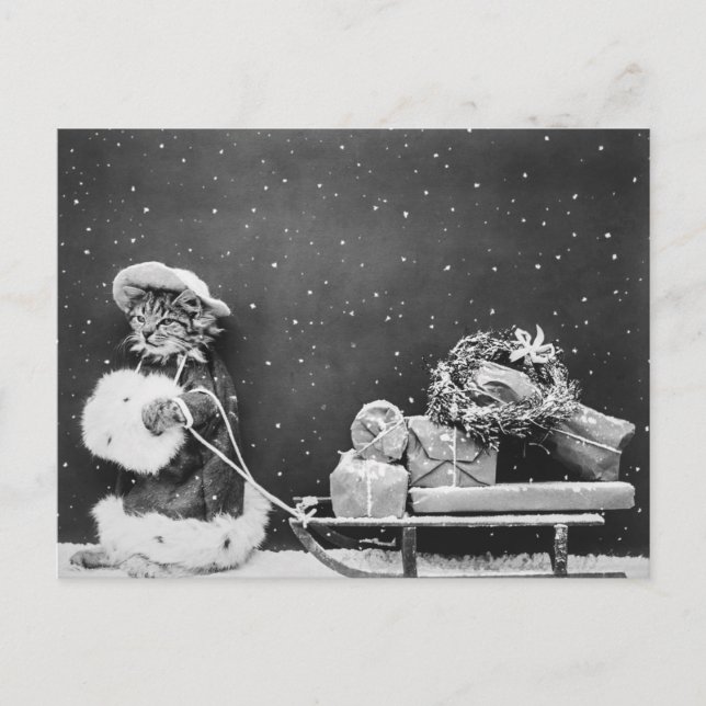 Cartão Postal Gato papai noel, gato Papai Noel (Frente)