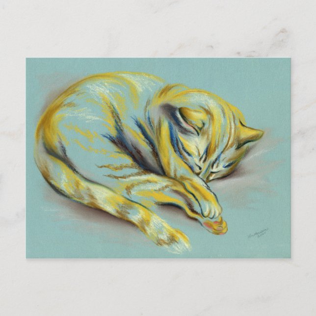 Cartão Postal Gato Pastel - Gatinho De Comprimido Dormindo (Frente)