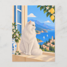 Gato Persa Branco Mediterrâneo