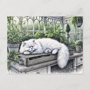 Cartão Postal Gato Pérsico Branco Descansado numa Estufa Sol