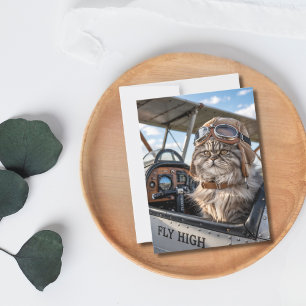 Cartão Postal Gato Piloto Avião Voar Alto Humor Divertido Aniver
