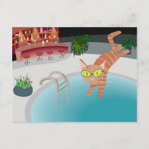 Cartão Postal gato piscina