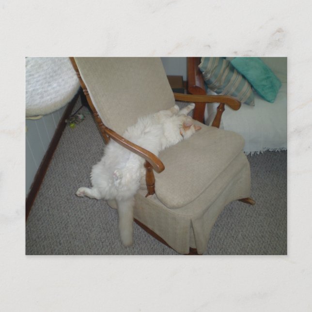 Cartão Postal Gato preguiçoso (Frente)