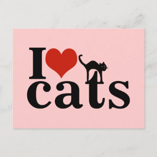 Cartão Postal gato preto