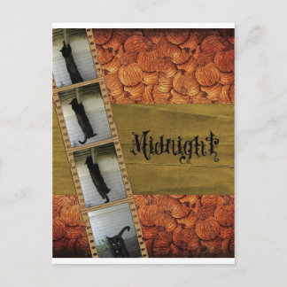 Cartão Postal Gato Preto