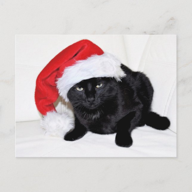 Cartão Postal Gato preto bonito com chapéu de Papai Noel (Frente)