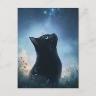 Cartão Postal Gato Preto Contemplando o Céu Noturno da Constelaç