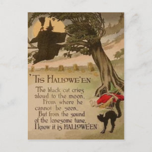 Cartão Postal Gato Preto de Abóbora de Lua Cheia