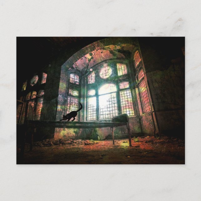 Cartão Postal Gato Preto de Vidro Arrependido Urbano (Frente)