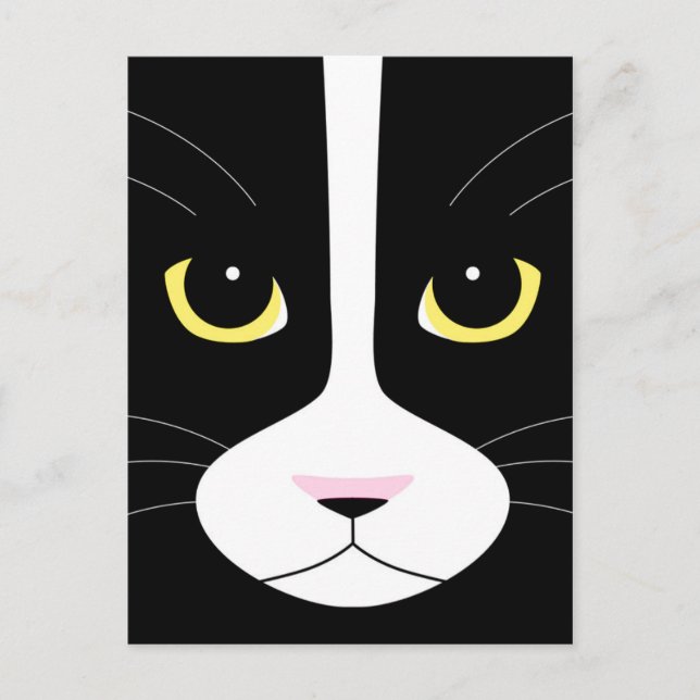 Cartão Postal Gato Preto e Branco (Frente)