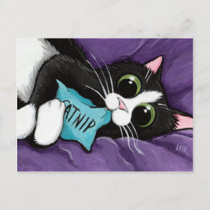 Cartão Postal Gato Preto e Branco com Travesseiro Catnil - Arte