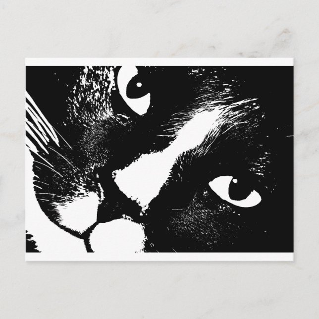Cartão Postal Gato preto e branco se aproxima (Frente)