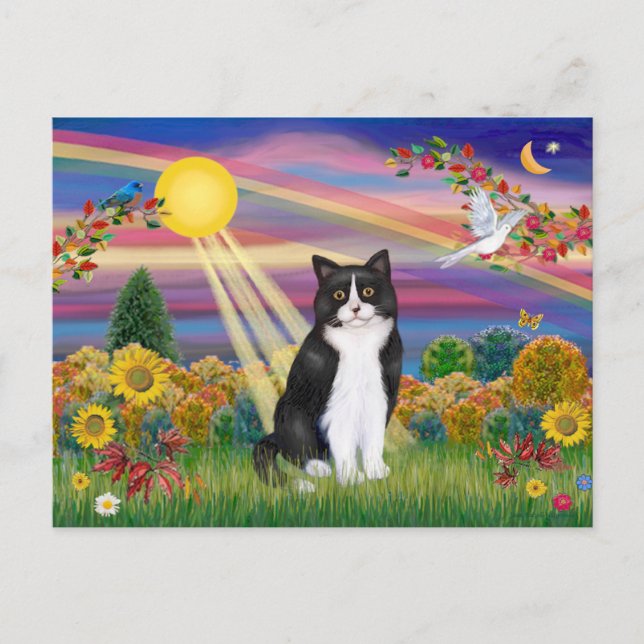 Cartão Postal Gato Preto e Branco - Sol de outono (Frente)