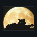 Cartão Postal Gato preto e Lua cheia de descanso<br><div class="desc">Verifique meu perfil para ver se há mais lojas de divertimento</div>