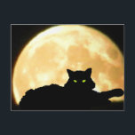 Cartão Postal Gato preto e Lua cheia de descanso<br><div class="desc">Verifique meu perfil para ver se há mais lojas de divertimento</div>