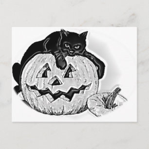 Cartão Postal Gato Preto e Maluco de Abóbora