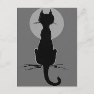 Cartão Postal Gato Preto e Preto Branco Monocromático, Lua Chei