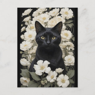 Cartão Postal gato preto em flores brancas