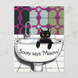 Cartão Postal Gato Preto em Pia, Sala de Lavagem, Patas de Lavag