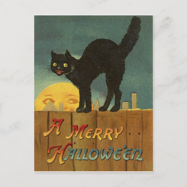 Cartão Postal Gato preto em uma cerca na noite de Halloween, vin (Frente)