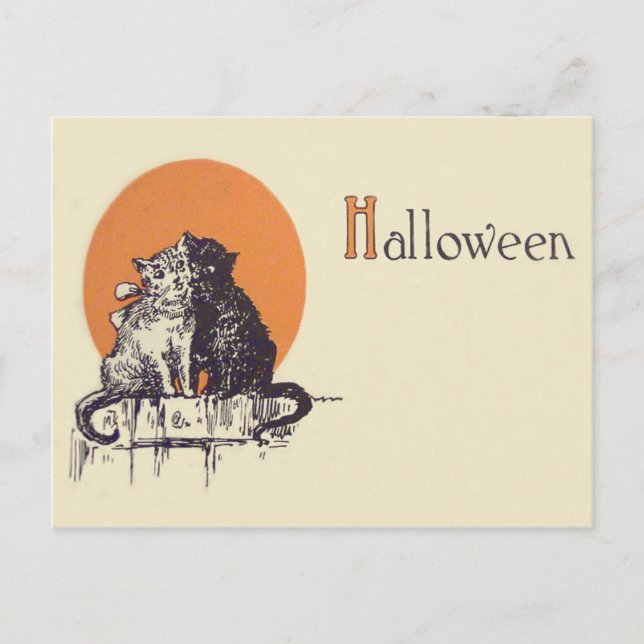 Cartão Postal Gato Preto Gato Branco Romance Lua Cheia (Frente)