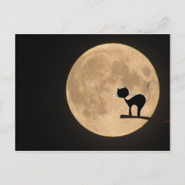 Cartão Postal Gato preto gótico do Halloween com lua de cheio